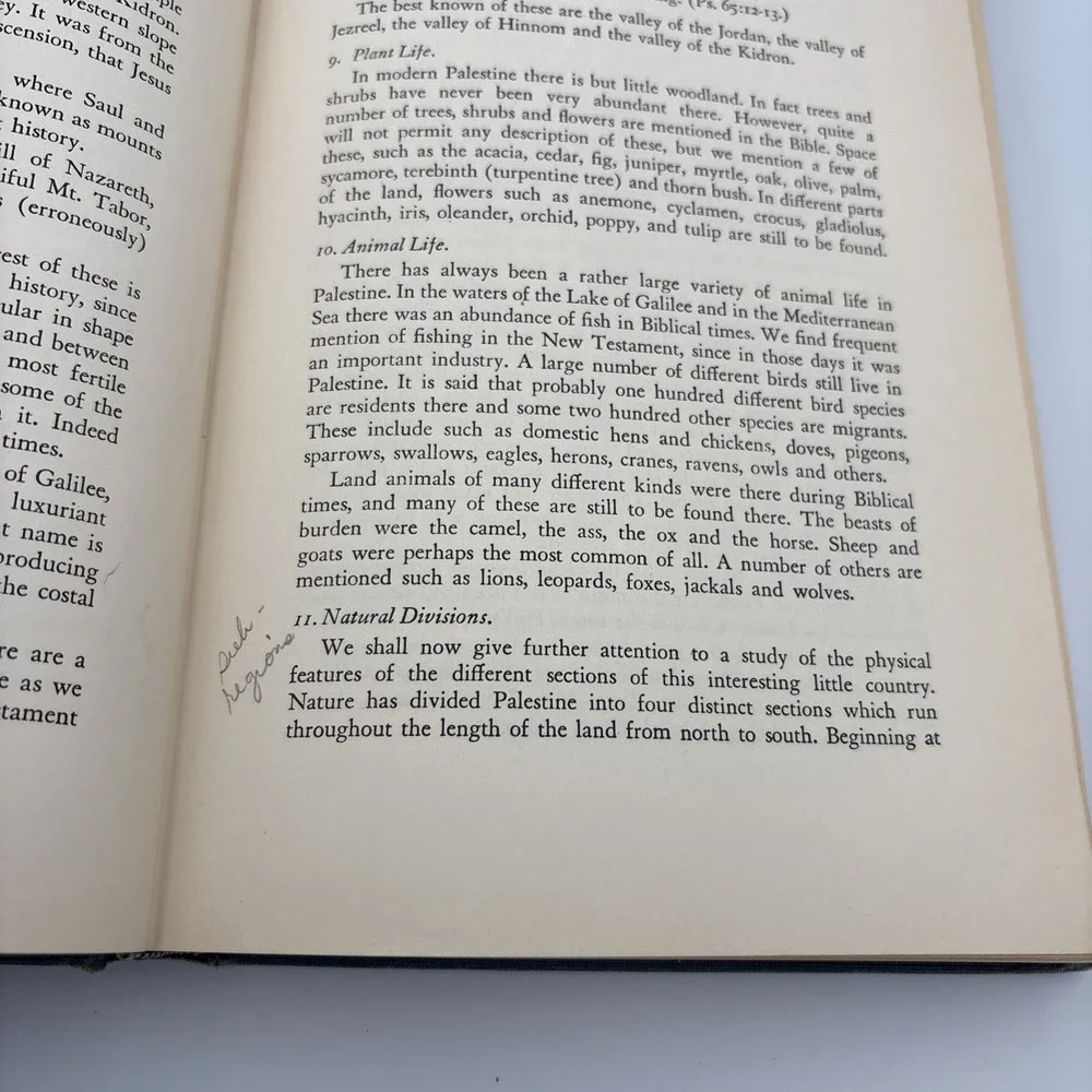 Vintage The Heart of Hebrew History Hester Old Testament Study Hardcover 1956